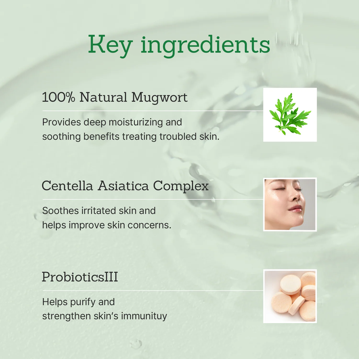 Mugwort Super Calming Toner + Serum - Image 3